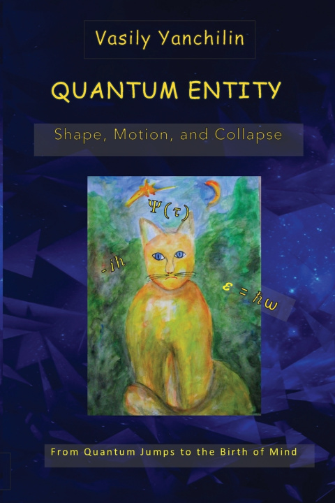 Knjiga Quantum Entity Vasily Yanchilin