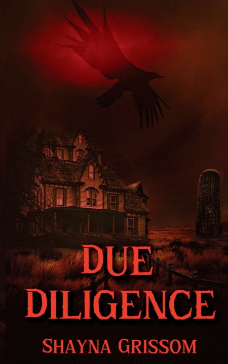 Kniha Due Diligence Shayna Grissom