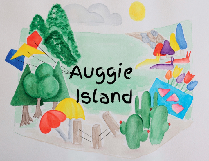Kniha Auggie Island Brittany Bainum