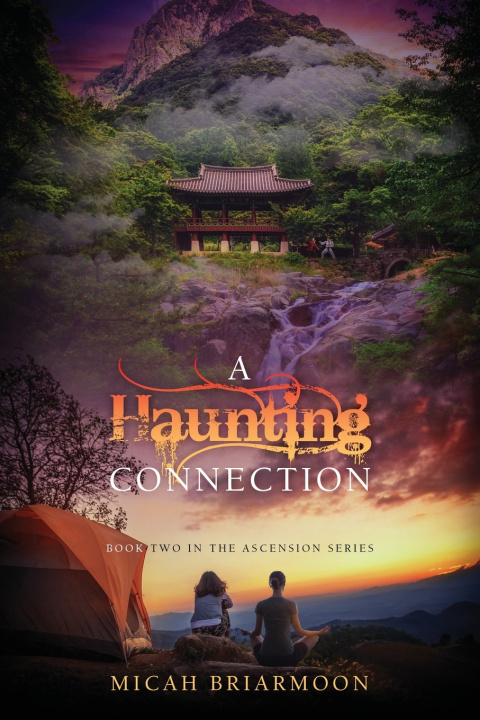 Kniha A Haunting Connection Micah Briarmoon