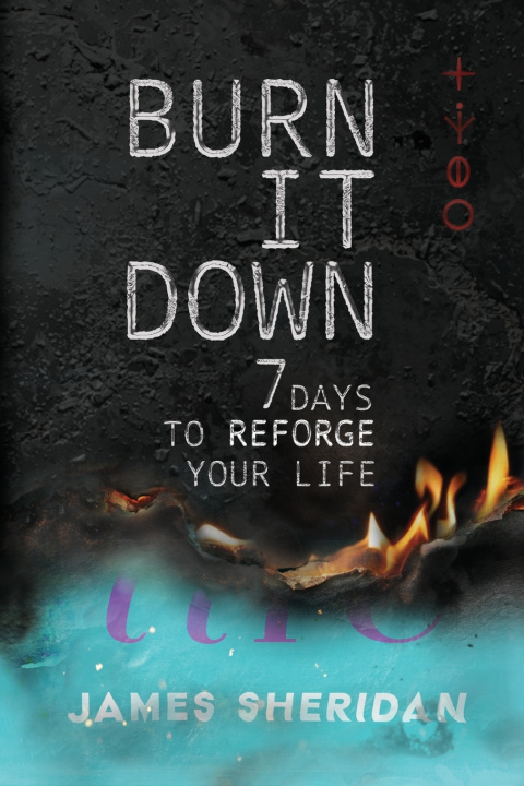 Buch Burn It Down James Sheridan