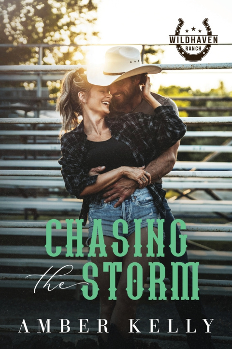 Book Chasing the Storm Amber Kelly