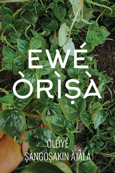 Kniha Ewe Orisa Sangosakin Ajala