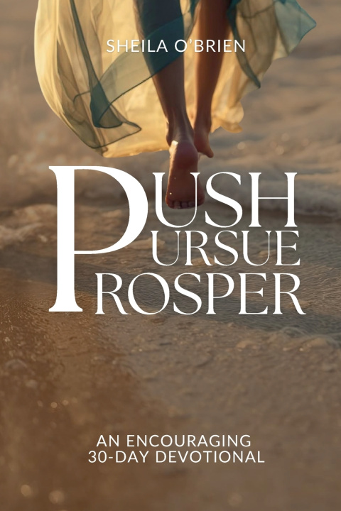 Kniha Push, Pursue, Prosper Sheila O'Brien