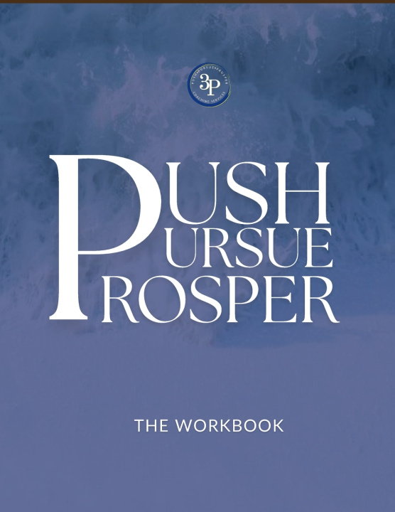 Kniha Push, Pursue, Prosper Workbook Sheila O'Brien