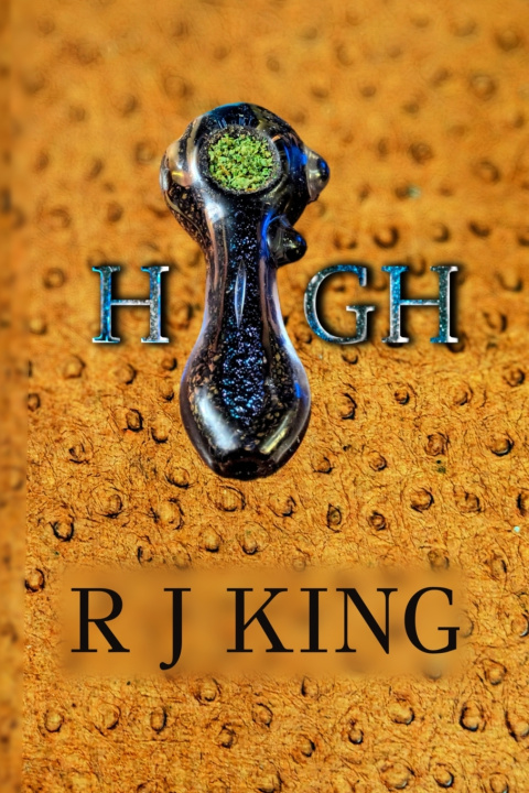 Kniha HIGH R. J. King