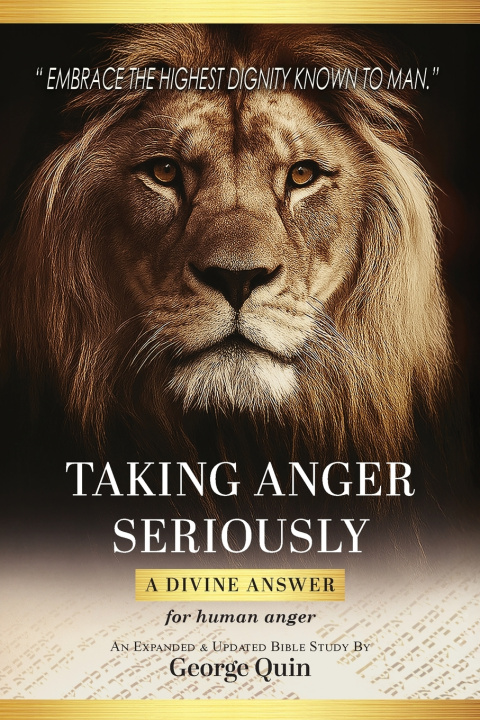 Kniha Taking Anger Seriously George Quin