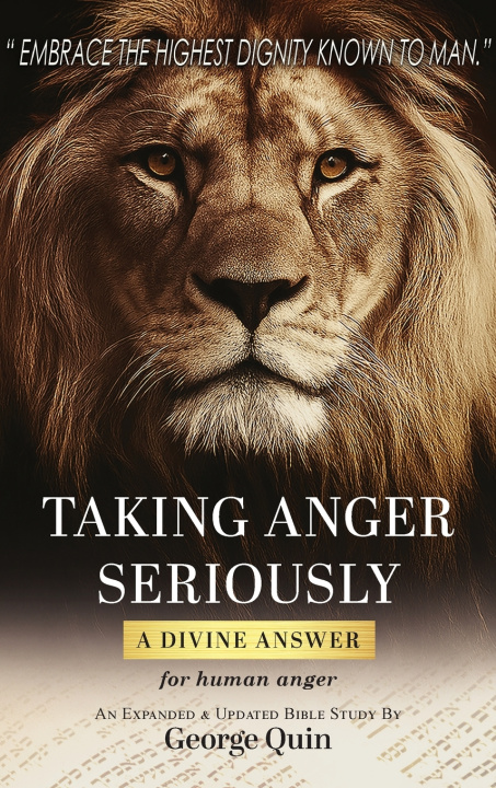 Kniha Taking Anger Seriously George Quin