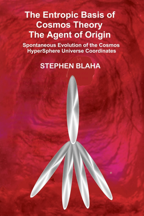 Kniha The Entropic Basis of Cosmos Theory The Agent of Origin Stephen Blaha