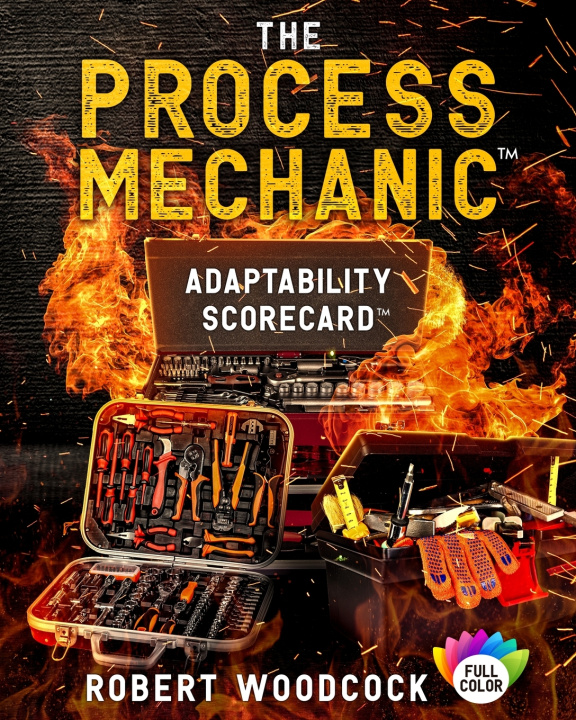 Kniha The Process Mechanic™ Robert W Woodcock