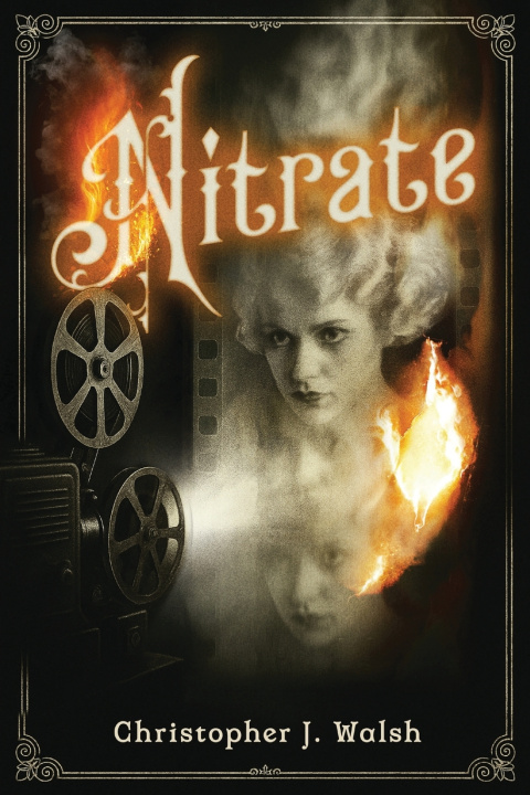 Kniha Nitrate Christopher J Walsh