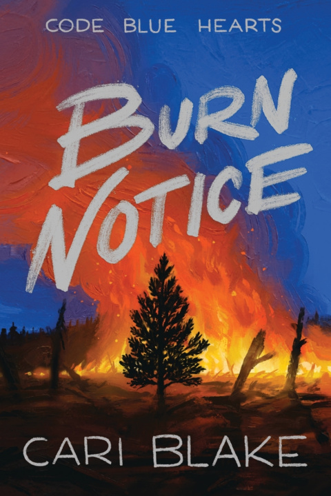 Kniha Burn Notice Cari Blake