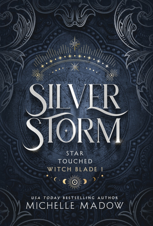 Kniha Silver Storm Michelle Madow