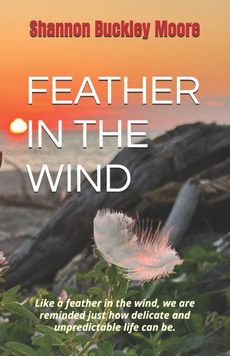Kniha Feather In The Wind Kaylene Moore