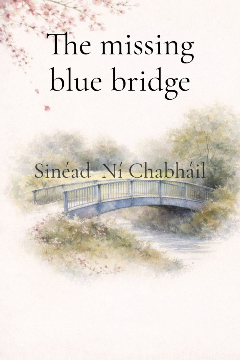 Kniha The missing blue bridge Sinéad Ní Chabháil