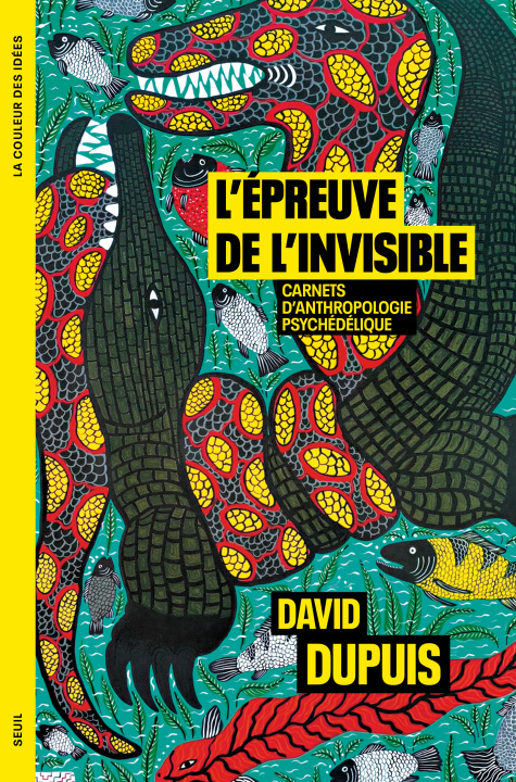 Knjiga L'Épreuve de l'invisible David Dupuis