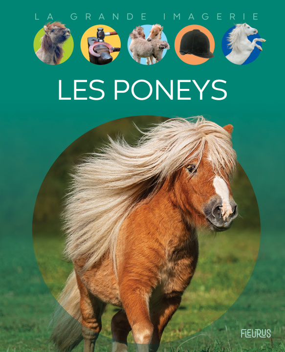 Knjiga Les poneys Cathy Franco