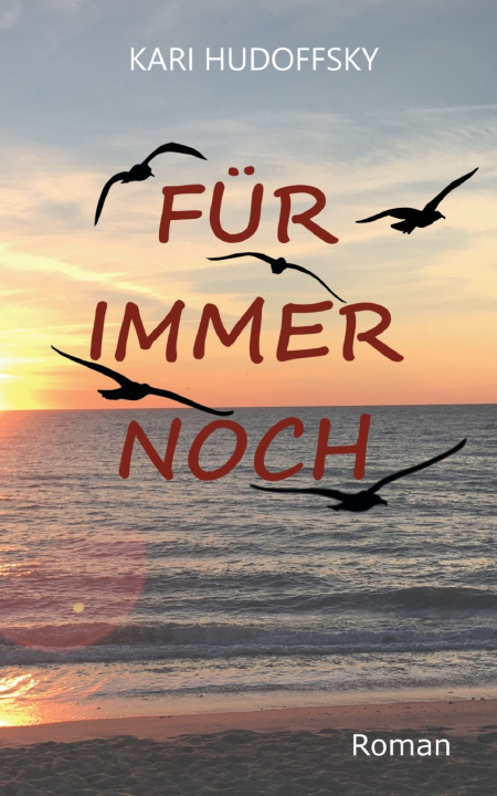 Kniha Für Immer Noch Kari Hudoffsky