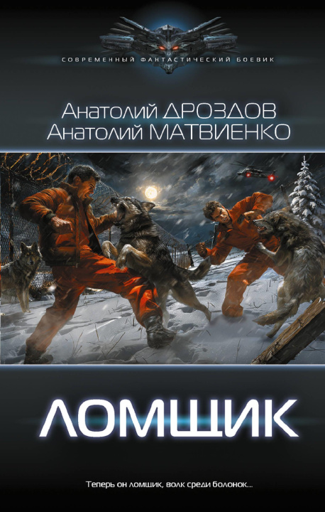 Kniha Ломщик А Дроздов