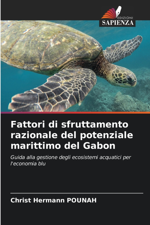 Kniha Fattori di sfruttamento razionale del potenziale marittimo del Gabon Christ Hermann POUNAH