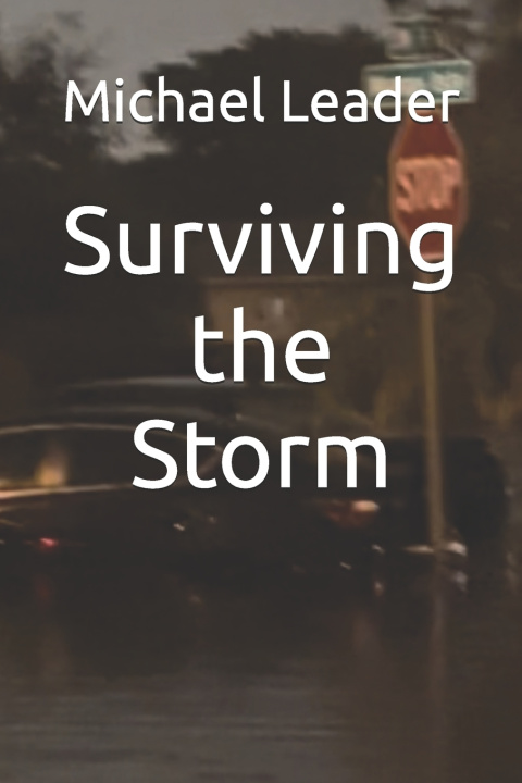Book Surviving the Storm Michael Leader