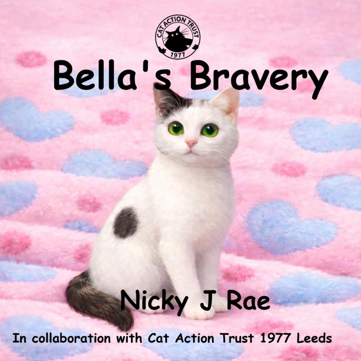 Kniha Bella's Bravery Nicky J Rae