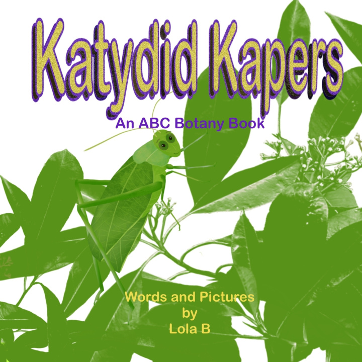 Kniha Katydid Kapers Lola B