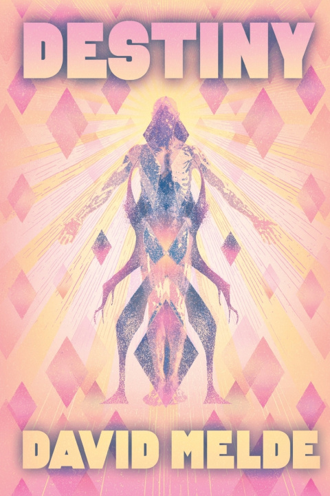 Kniha Destiny David Melde
