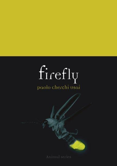 Boek Firefly Paolo Cherchi Usai