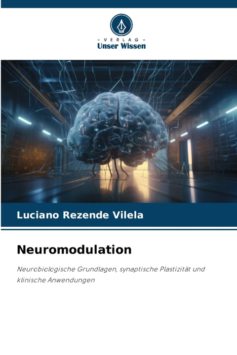 Kniha Neuromodulation Luciano Rezende Vilela