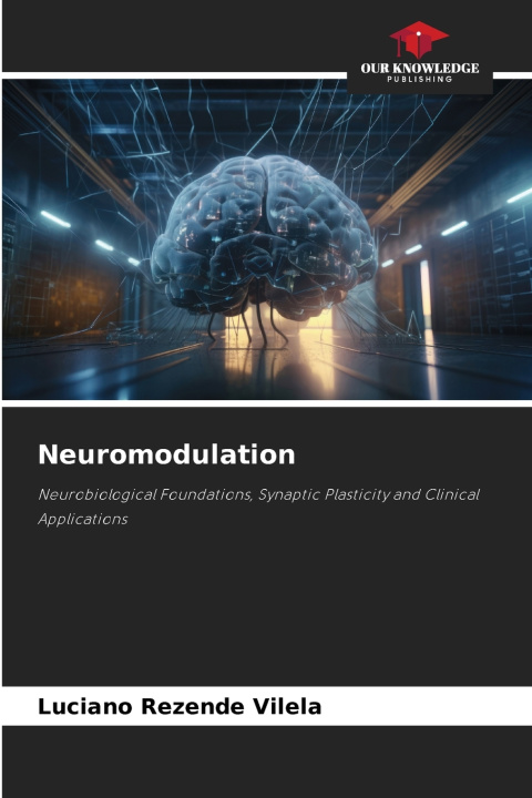 Kniha Neuromodulation Luciano Rezende Vilela