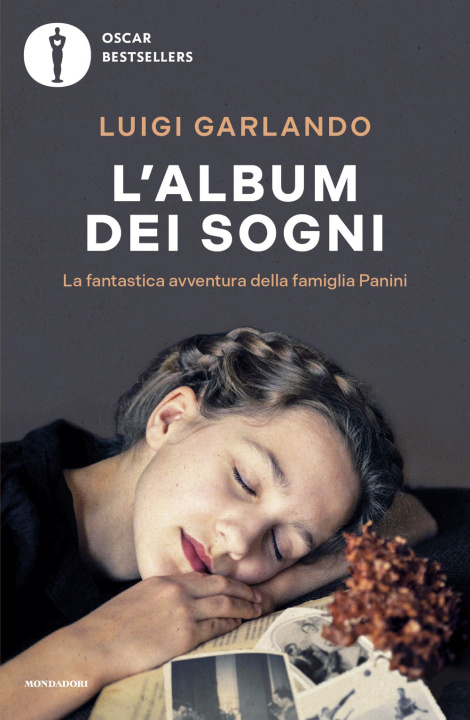 Kniha album dei sogni. La fantastica avventura della famiglia Panini Luigi Garlando