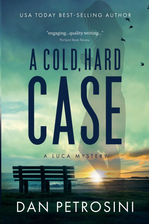 Kniha A Cold, Hard Case Dan Petrosini