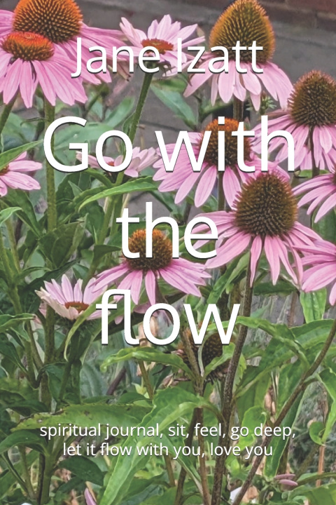 Kniha Go with the flow Jane Izatt