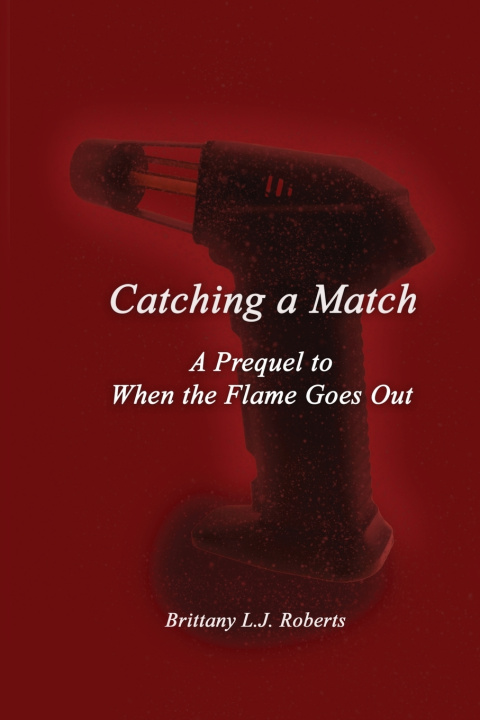 Kniha Catching a Match Brittany L.J. Roberts