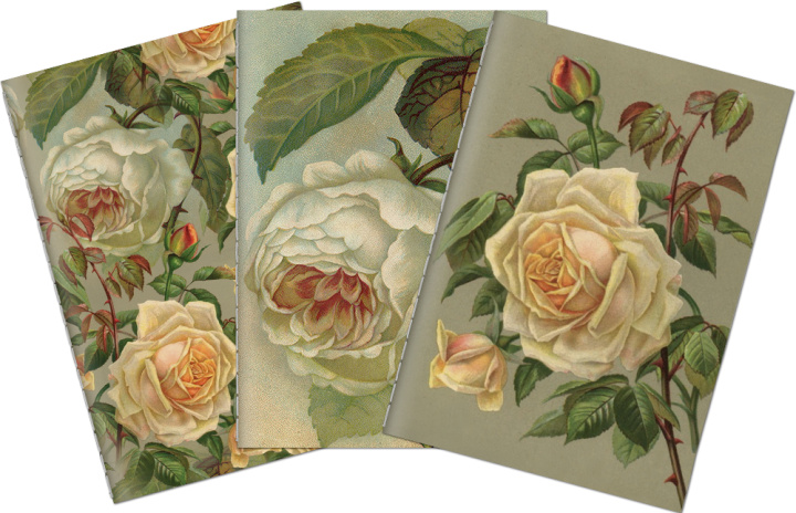Papírenské zboží Sada tří notýsků Yellow roses 