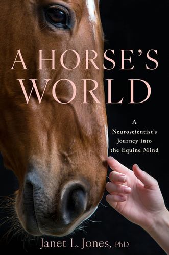 Книга HORSES WORLD JONES JANET L
