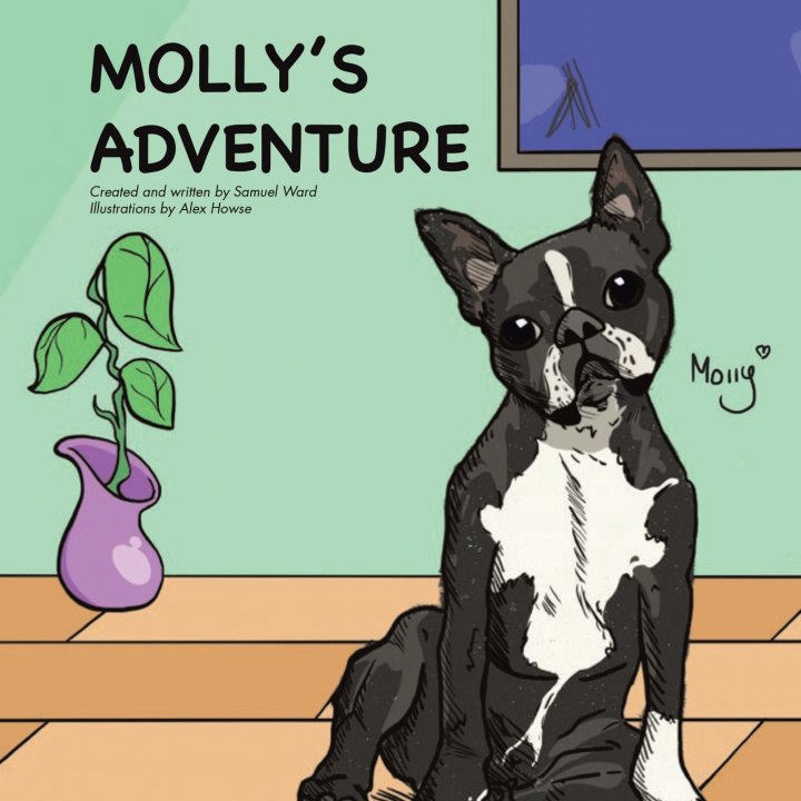 Kniha Molly's Adventure Samuel Ward