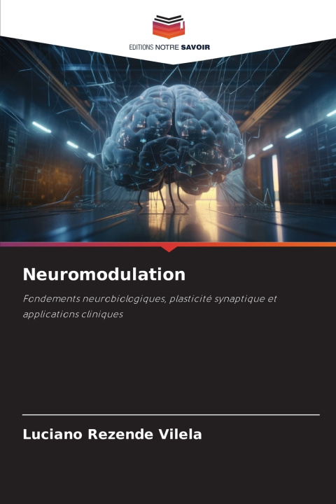 Kniha Neuromodulation Luciano Rezende Vilela