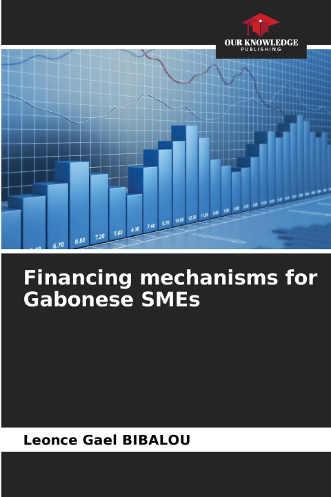 Kniha Financing mechanisms for Gabonese SMEs Leonce Gael BIBALOU