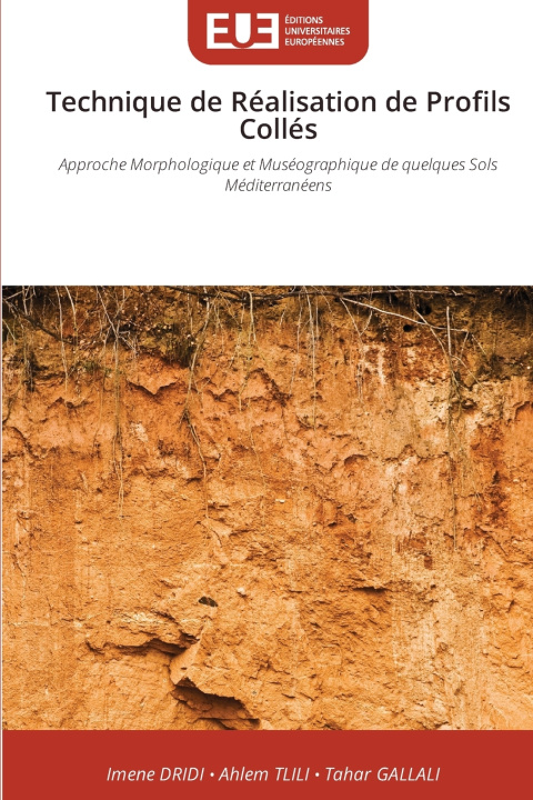 Boek Technique de Réalisation de Profils Collés Imene Dridi