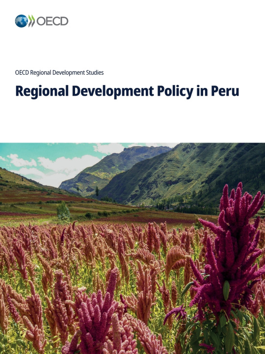 Kniha Regional Development Policy in Peru OECD