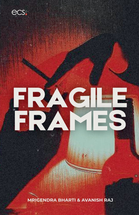 Kniha Fragile Frames Mrigendra Bharti