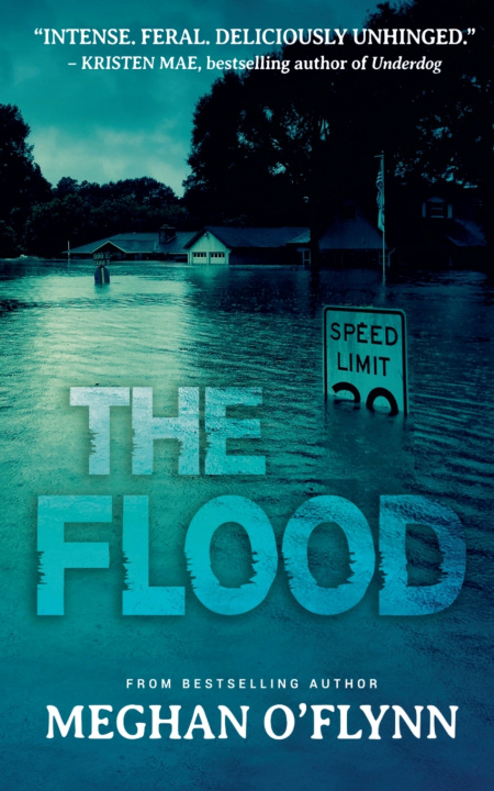 Kniha The Flood Meghan O'Flynn