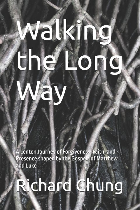 Kniha Walking the Long Way Richard Chung