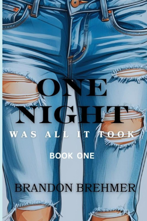 Kniha One Night Was All It Took Brandon Brehmer
