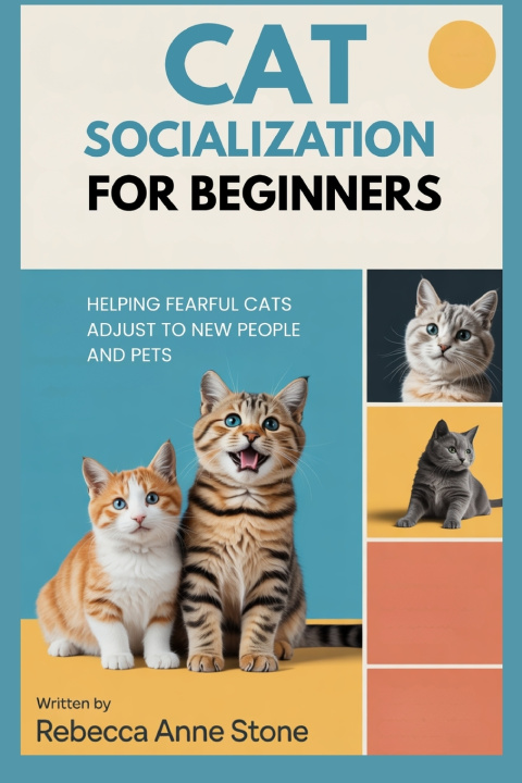 Kniha Cat Socialization for Beginners Rebecca Anne Stone
