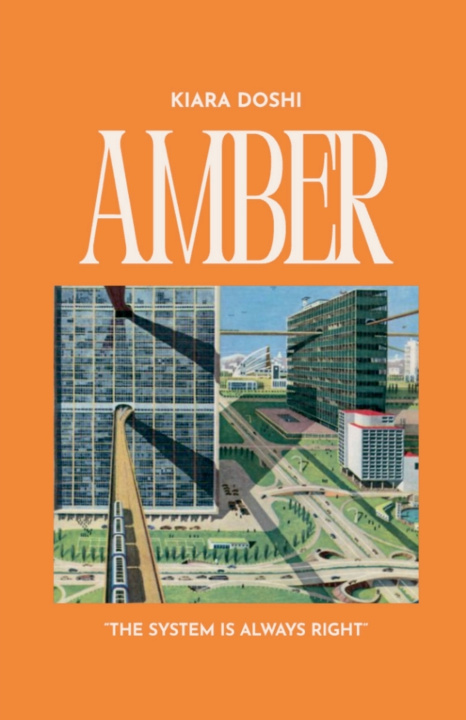 Kniha Amber Kiara Doshi