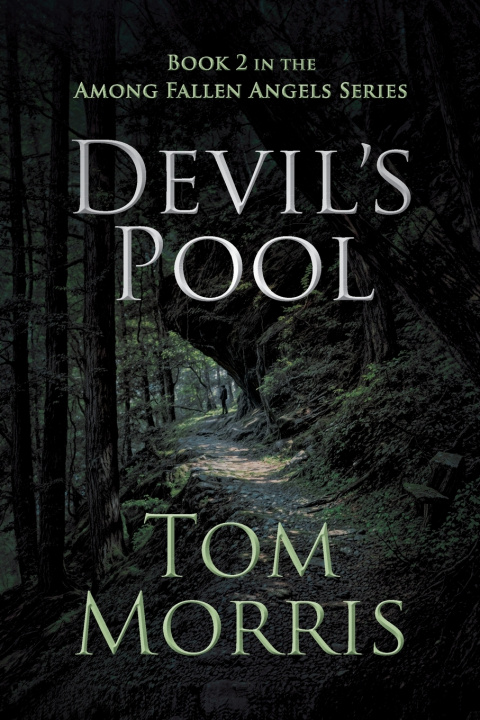 Knjiga Devil's Pool Tom Morris