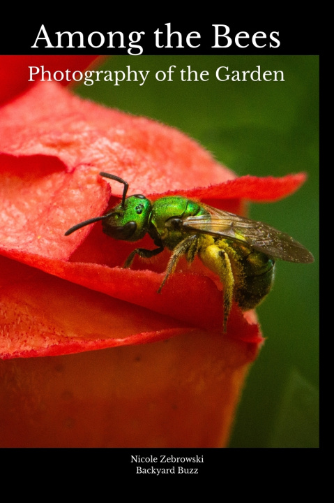 Kniha Among the Bees Nicole Zebrowski
